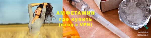 шишки Армянск