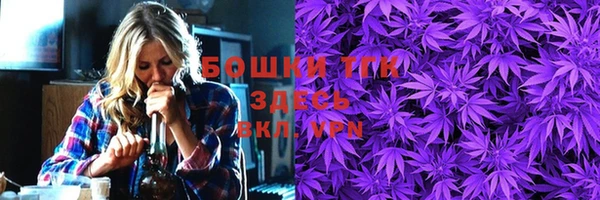 шишки Армянск