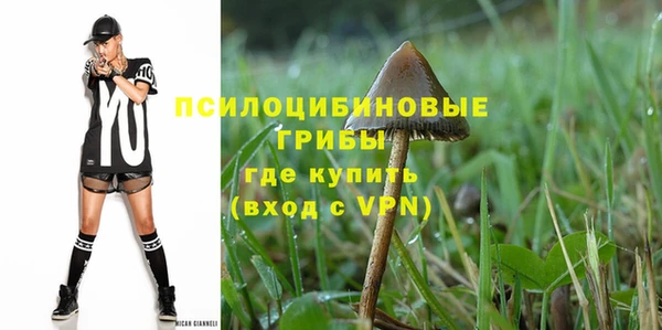 шишки Армянск